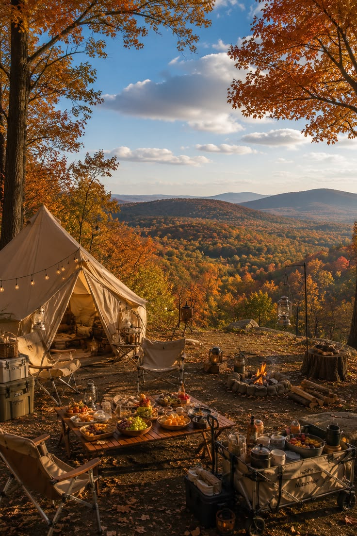 A camping site in the middle of foliage